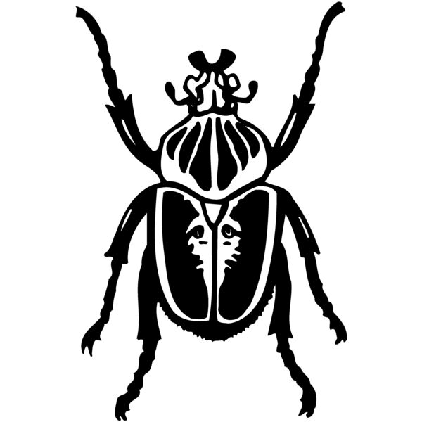 BEETLE04 Thumbnail